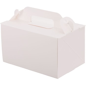 105 OPL パッケージ中澤