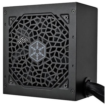 SilverStone モジュラー電源 Triton 850Rx Cybenetics Gold 850W PCIe 5固定ケーブルATX電源 SST-TR850R-GF SILVER STONE(シルバーストーン)