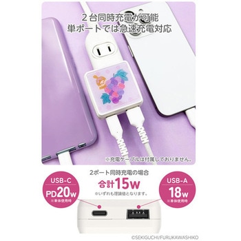 PD20W AC充電器 モンチッチ パイン 多摩電子