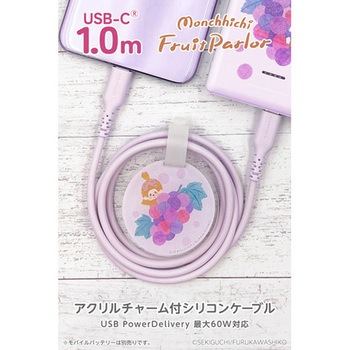 シリコンケーブルC to C 1.0m モンチッチ いちご 多摩電子