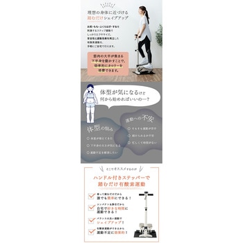 ハンドル付きステッパー 保護マット付き アルインコ
