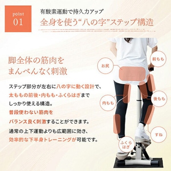 ハンドル付きステッパー 保護マット付き アルインコ