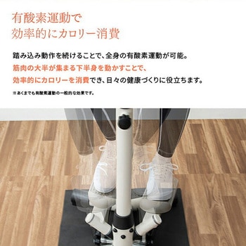 ハンドル付きステッパー 保護マット付き アルインコ