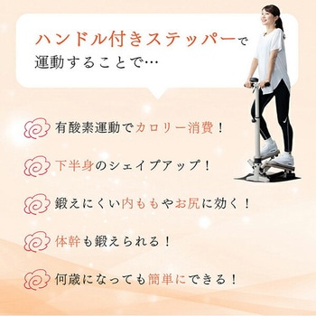 ハンドル付きステッパー 保護マット付き アルインコ