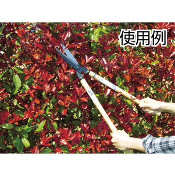 刈込鋏 安来鋼付パーカー仕上 白樫柄入 鋼典
