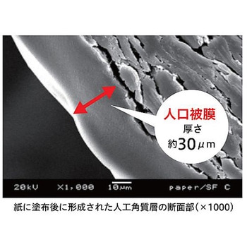 手荒れ保護皮膜ジェル フィルムスキン フジ医療器