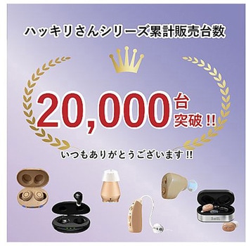 充電式 両耳 集音器ハッキリさん Ⅶ サイエルインターナショナル