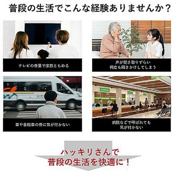 充電式 両耳 集音器ハッキリさん Ⅶ サイエルインターナショナル