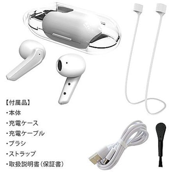 集音器「クリアーサウンドF」 キヨラカ
