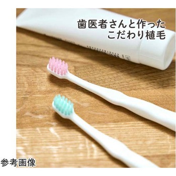 仕上げ歯ブラシ 2本セット 12個入 KJC
