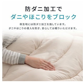 羊毛ヌード ウール入り防ダニヌード 寝具 掛布団 アイボリー 150×210cm シングルロング イケヒコ・コーポレーション
