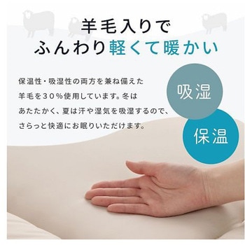 羊毛ヌード ウール入り防ダニヌード 寝具 敷布団 アイボリー 120×210cm セミダブルロング イケヒコ・コーポレーション