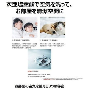 次亜塩素酸空間除菌脱臭機ジアイーノ18畳加湿機能付 Panasonic(パナソニック)