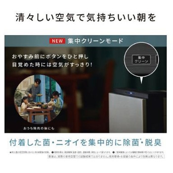 次亜塩素酸空間除菌脱臭機ジアイーノ21畳加湿機能付 Panasonic(パナソニック)