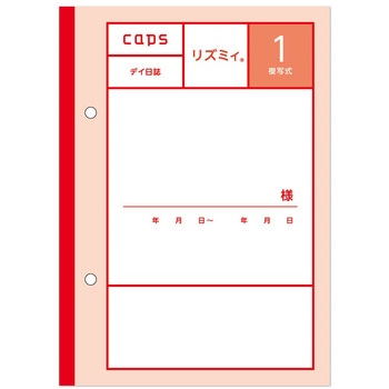 看護・介護記録用紙 リズミィ1 デイ日誌 B6 1セット 50組×20冊入 タニシ企画印刷/CAPS(キャプス)