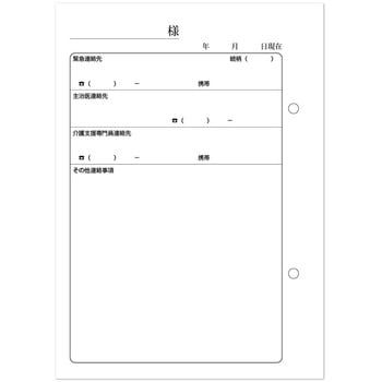 看護・介護記録用紙 リズミィ1 デイ日誌 B6 1セット 50組×20冊入 タニシ企画印刷/CAPS(キャプス)