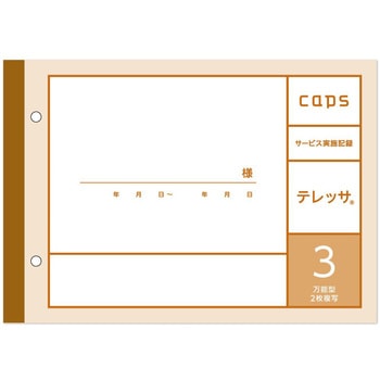 看護・介護記録用紙 テレッサ3 サービス実施記録 A5 1セット 50組×20冊入 タニシ企画印刷/CAPS(キャプス)