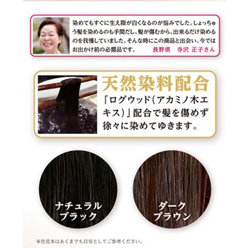 生え際専用 ぽんぽん白髪かくし ナチュラルブラック グリム