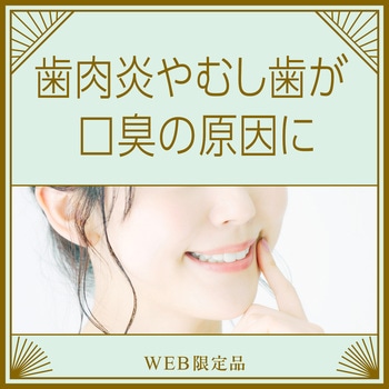 モンダミン プレミアムケア ゴールドミント アース製薬