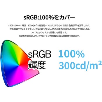 ディスプレイ28型/3840×2160/HDMI×2、DP×2/ブラック/スピーカー有/2年保証 JAPANNEXT