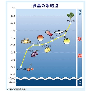 高精度デジタル氷温計 氷温サーモ サーモポート