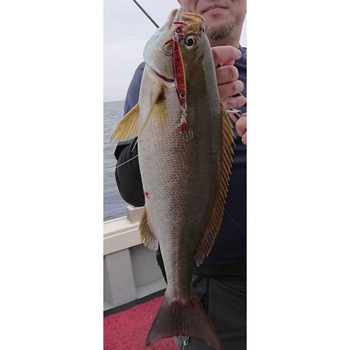 WEAKBAIT MEDIUM (ウィークベイトミディアム) 30g メロン屋工房