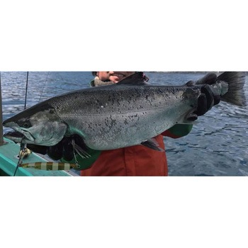 WEAKBAIT MEDIUM (ウィークベイトミディアム) 30g メロン屋工房