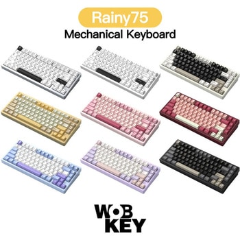 Rainy75 Color - WOBKEY
