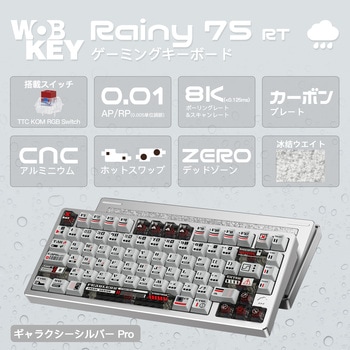 Rainy75 RT Pro WOBKEY