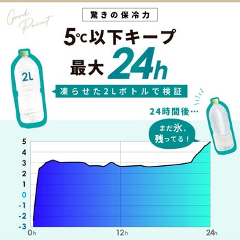 2 部屋保温冷リュック 大河商事