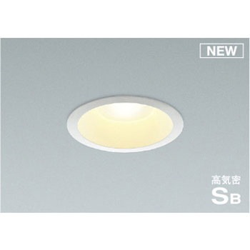 AD51797 �y�ތ�30�`50mm�Ή��z�_�E�����C�g �R�C�Y�~(���򐬊�) ������1�`100% Ra82 �����vLED 57431536