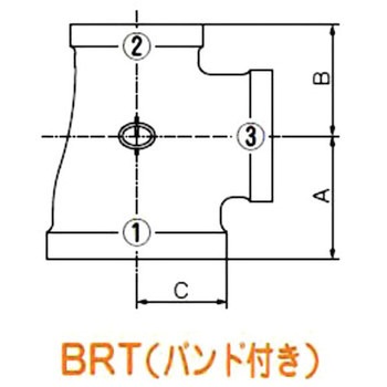 三方径違いチーズ ねじ込み式可鍛鋳鉄製管継手(白) リケン