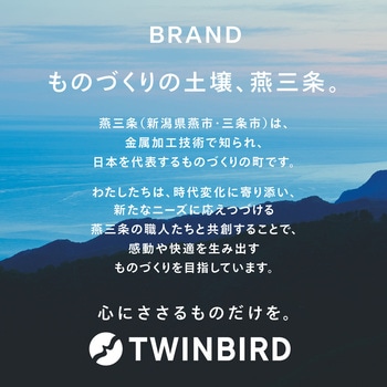 サイクロンスティック型クリーナー ツインバード