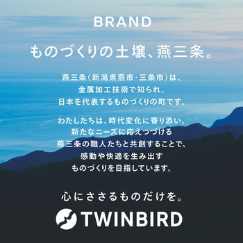 センサー付フラット電子レンジ ツインバード