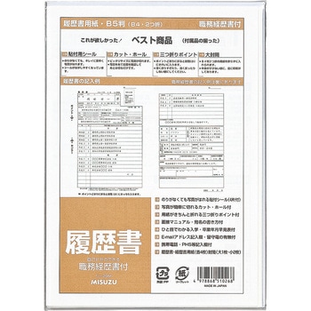 履歴書 職務経歴書付 マルアイ