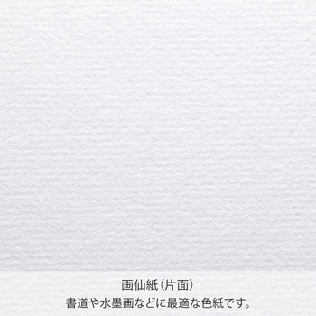 色紙画仙 S2(小) マルアイ