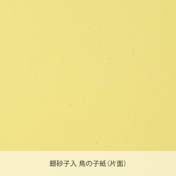 色紙画仙 S2(小) マルアイ