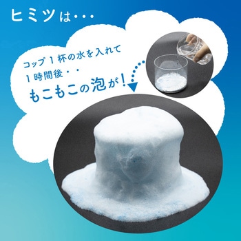排水口洗浄剤 泡ラク アルファックス