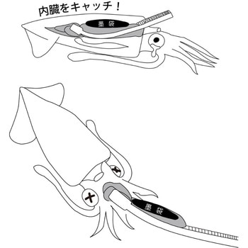 イカ墨フォーセップ22cm LE135 がまかつ Gamakatsu