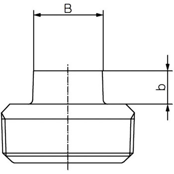 プラグ 可鍛鋳鉄製管継手(白) リケン