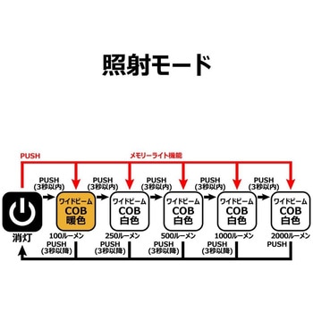 フラッドライト LEFL2000 - がまかつ Gamakatsu