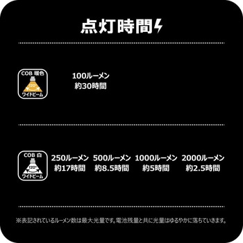 フラッドライト LEFL2000 - がまかつ Gamakatsu