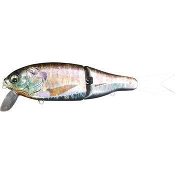 Slowth150 (スロース150) EIS VOGEL