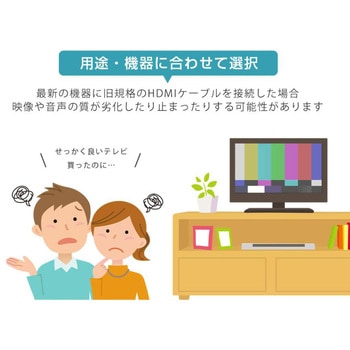 SecuSTATION HDMIケーブル SecuSTATION