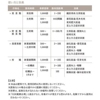 葉緑物語 イノチオプラントケア