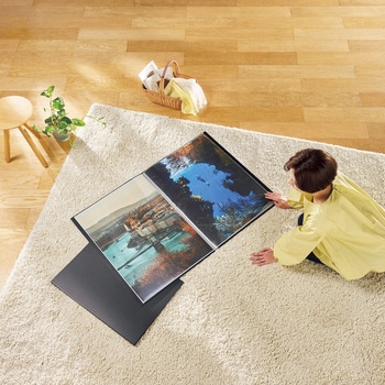 クリアーブック LION (ライオン事務器)