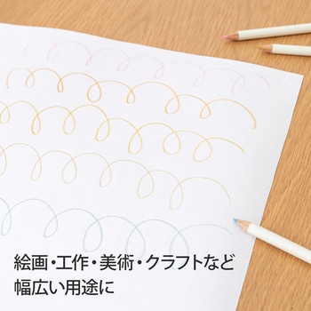 ジャンボ画用紙 (ロールタイプ) 10m巻45cm幅 日本ノート