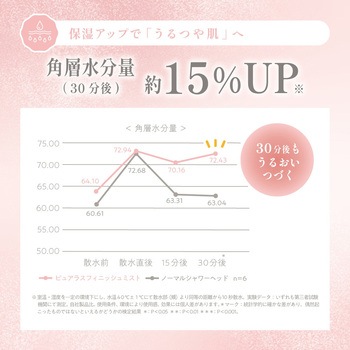 ピュアラスフィニッシュミスト・スターターキット 田中金属製作所