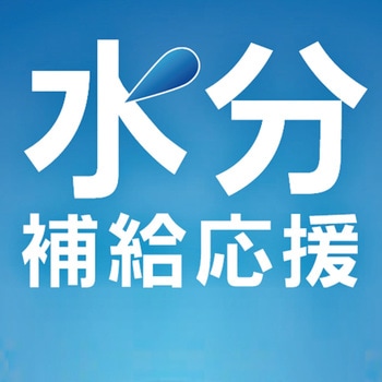 AGFプロフェッショナルプラス 水分補給応援 甘レモン風味1L用 AGF(味の素AGF)