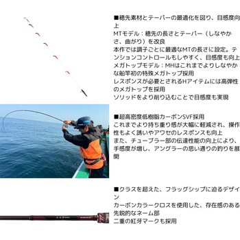 紅牙テンヤゲームMX DAIWA(ダイワ)